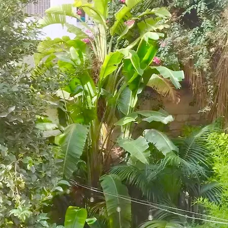 Apartamento Mezzanino Con Patio E Archi A Vela